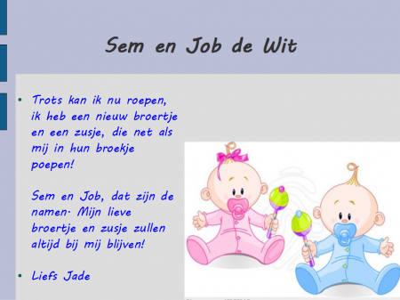 Sam en Job de Wit geboorte